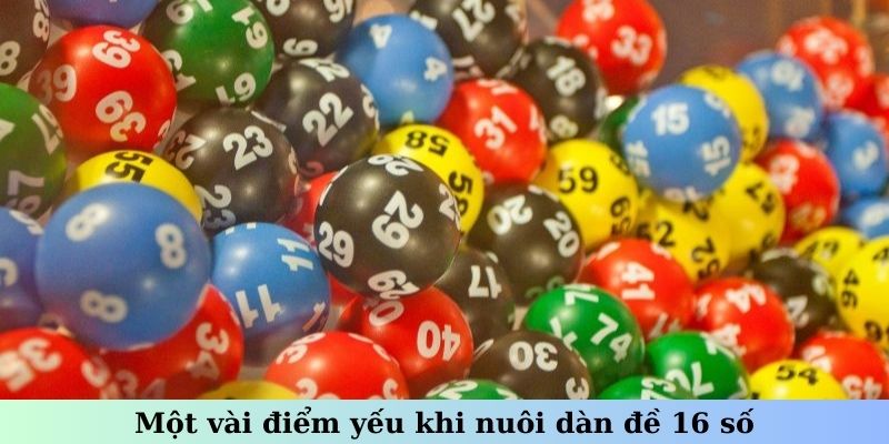 Một vài điểm yếu khi nuôi dàn đề 16 số