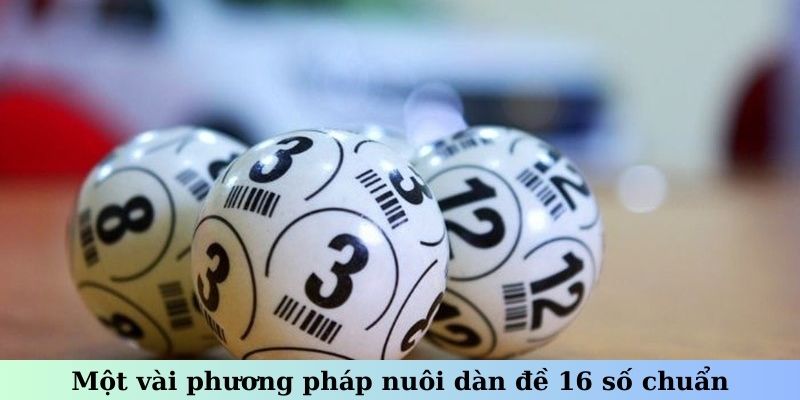 Một vài phương pháp nuôi dàn đề 16 số chuẩn